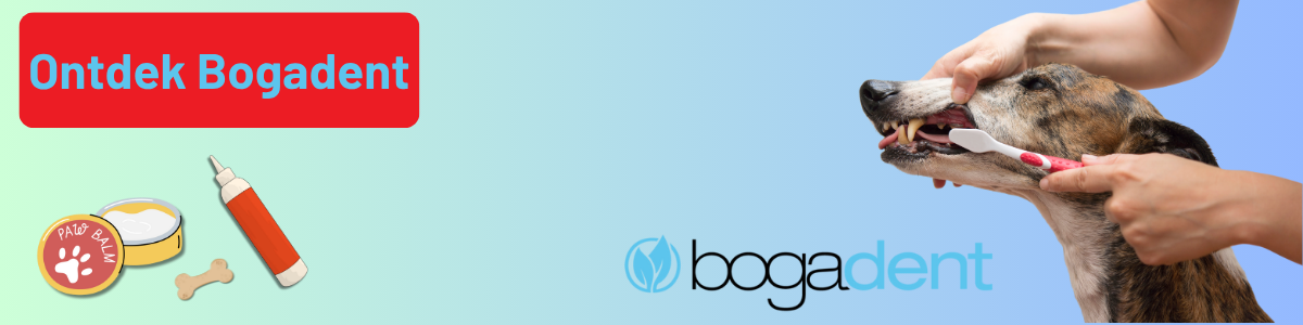 Bogadent
